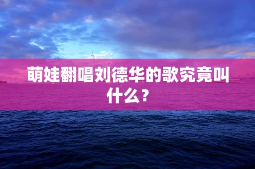 萌娃翻唱刘德华的歌究竟叫什么？