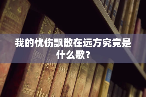 我的忧伤飘散在远方究竟是什么歌？