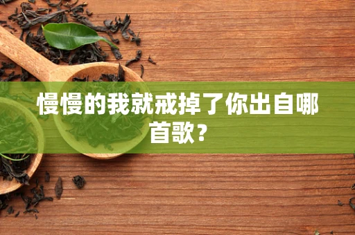 慢慢的我就戒掉了你出自哪首歌？